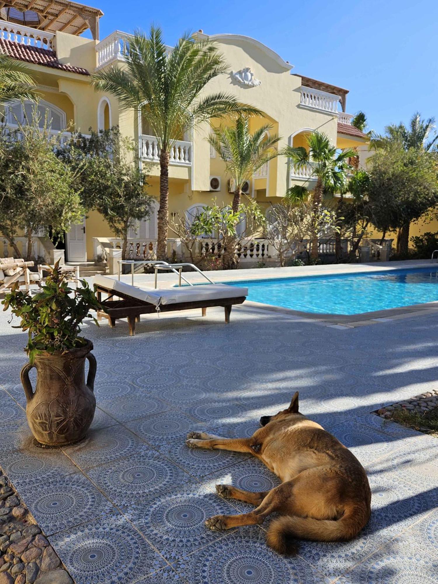 Villa Shahrazad Hurghada Exterior foto